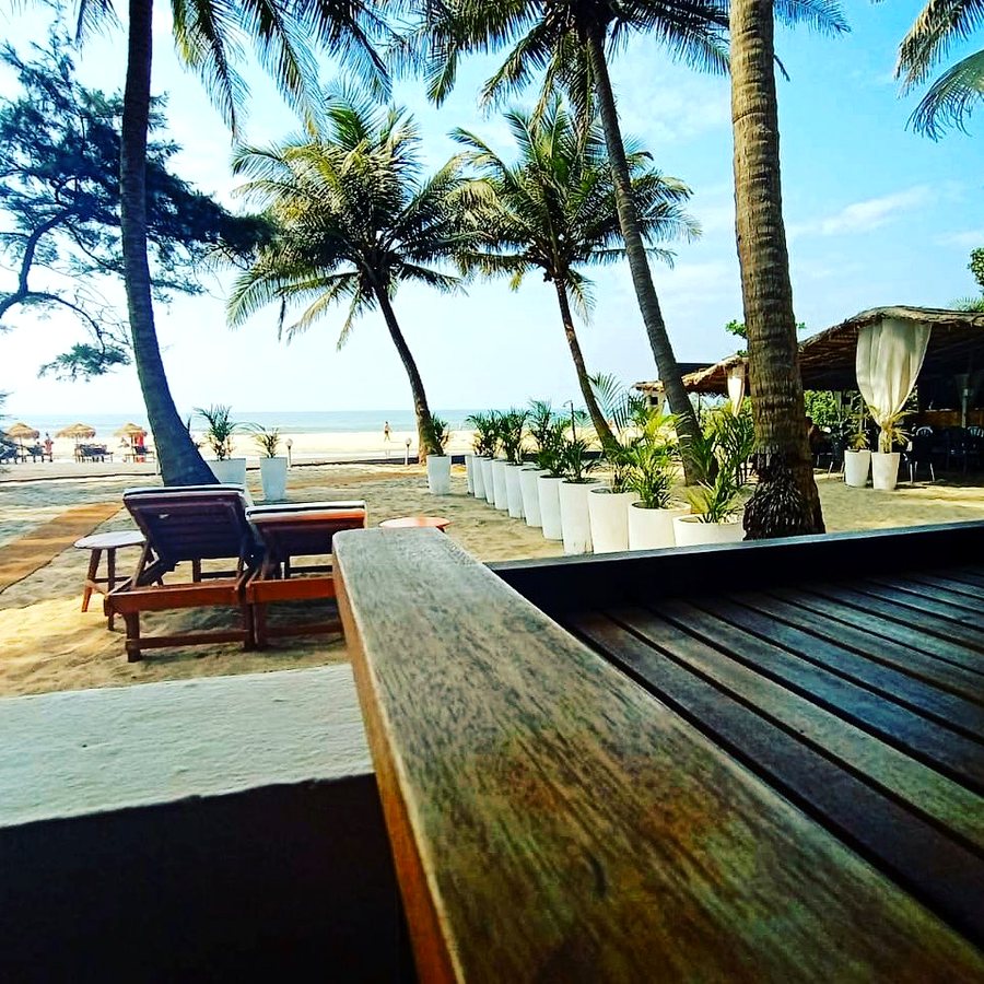 Beachfront table and palm view at Mamagoa Resort