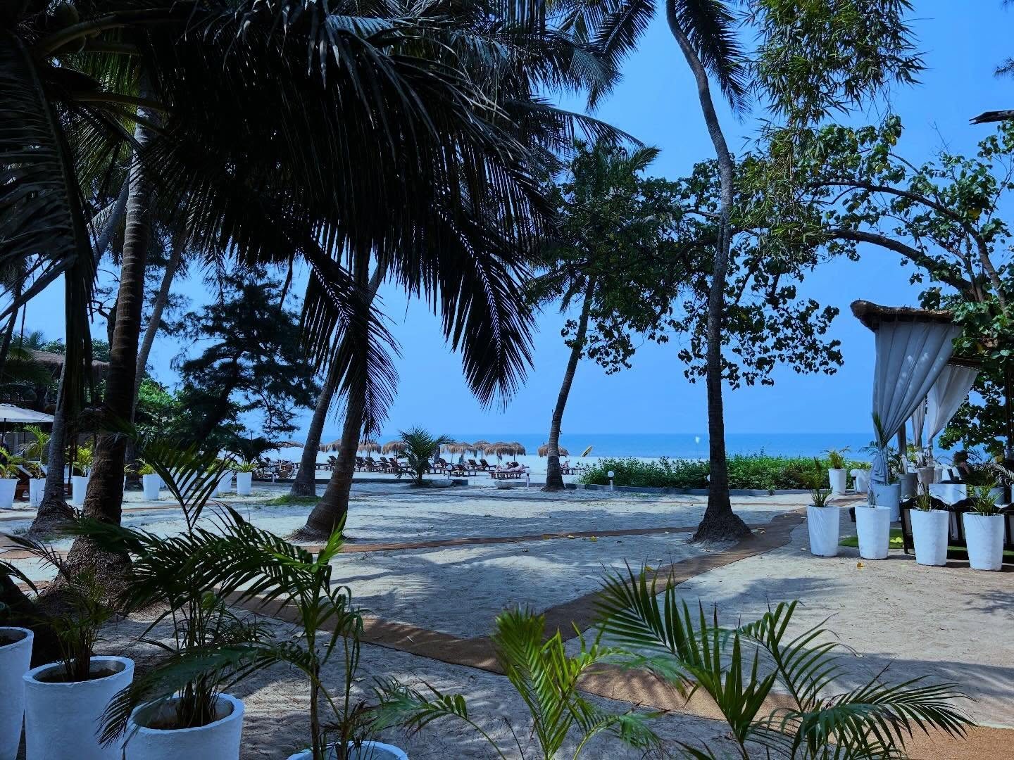 Palm trees and beach view at Mamagoa Resort