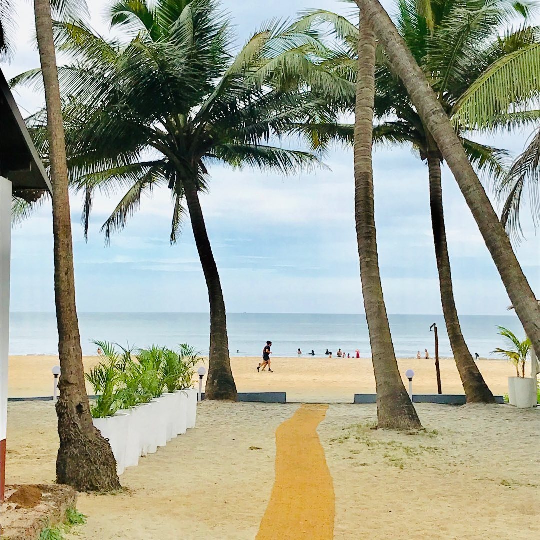 Path through palms to Ashwem Beach