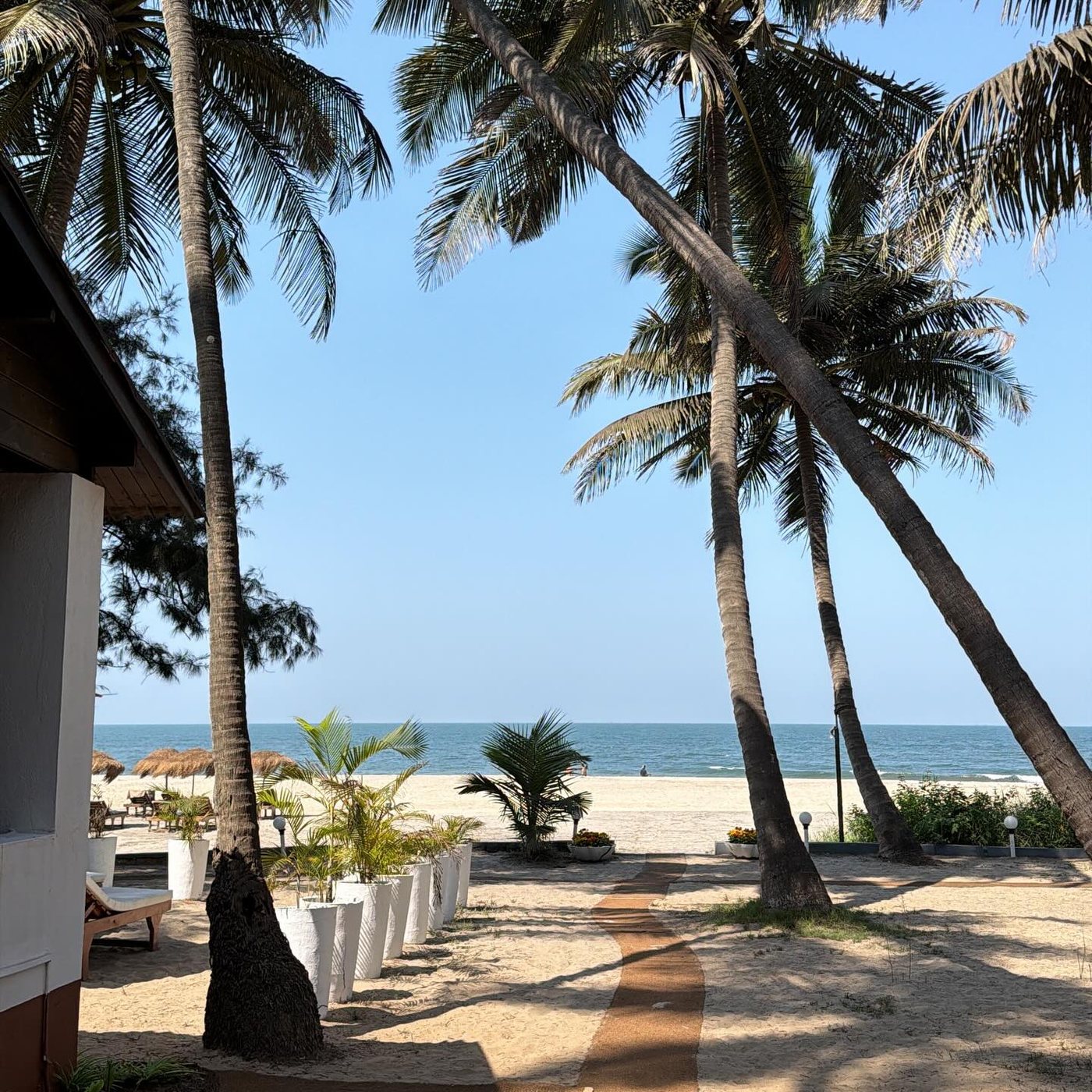 Beach walkway and palm trees at Mamagoa Resort