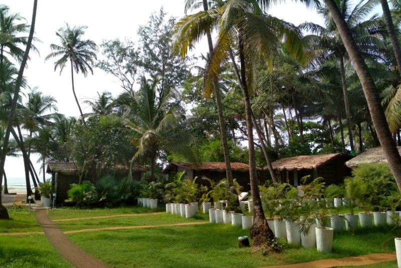 Deluxe Bungalow with Garden view photo 4 at Mamagoa Resort